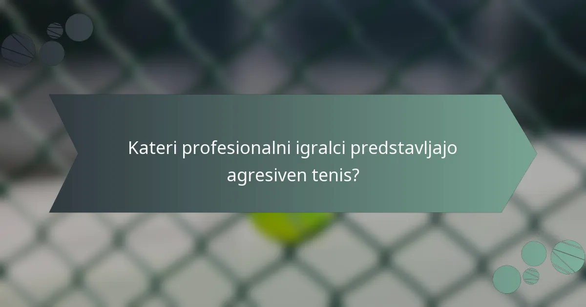 Kateri profesionalni igralci predstavljajo agresiven tenis?